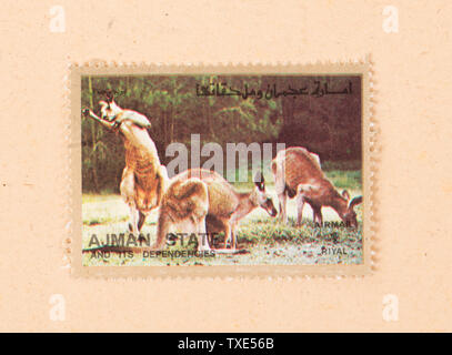 Vereinigte Arabische Emirate - ca. 1980: ein Stempel gedruckt in den VAE zeigt kangaroes, ca. 1980 Stockfoto