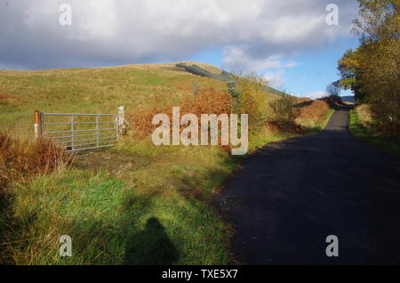 Der Loch Lomond und Cowal Weg. Halbinsel Cowal. Hochland. Schottland. Großbritannien Stockfoto
