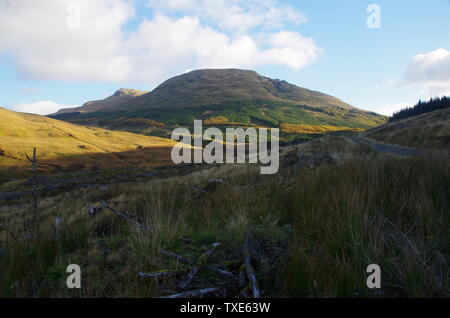 Der Loch Lomond und Cowal Weg. Halbinsel Cowal. Hochland. Schottland. Großbritannien Stockfoto