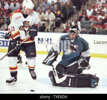 MIA 2000020912 - 09 Februar 2000 - Miami, Florida, USA: Florida Panthers Mark Parrish (21) hat seinen Schuß durch San Jose Sharks goalie Steve Shields abgelehnt (31) in der zweiten Periode NHL Tätigkeit, 9. Februar. Die Leoparden besiegten die Haie 4-1 an der National Car Rental Center. rg/mb/Michael Bush UPI Stockfoto