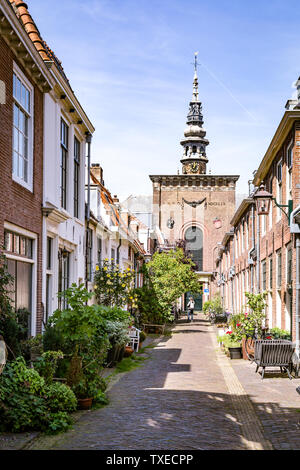 Haarlem, Niederlande - 31. Mai 2019: Gemütliche grüne kleine Straße mit vielen Töpfe und Pflanzen in Haarlem mit der Nieuwe Kerk in den Hintergrund Stockfoto