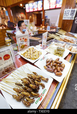 Guilin, China - 15. September 2017: Essbare Insekten auf einer Nacht Markt Restaurant, im Vordergrund. Stockfoto