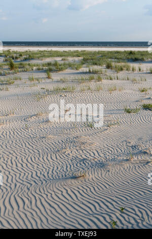 Das grüne Gras bedeckten Sanddünen der friesischen Insel Juist im sonnigen Sommer. Stockfoto