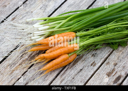 Karotten und Salat Zwiebeln auf einem Tisch Stockfoto