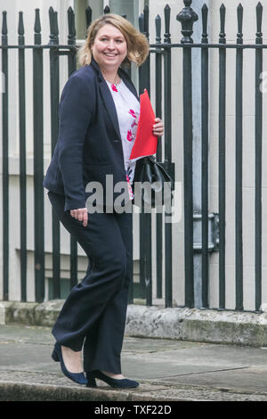 London, Großbritannien. 25. Juni 2019. Karen Bradley Staatssekretär für Nordirland kommt an der Downing Street für die wöchentliche Kabinettssitzung. Jeremy Hunt ist ein Kämpfer Premierminister Kredit zu werden: Amer ghazzal/Alamy leben Nachrichten Stockfoto