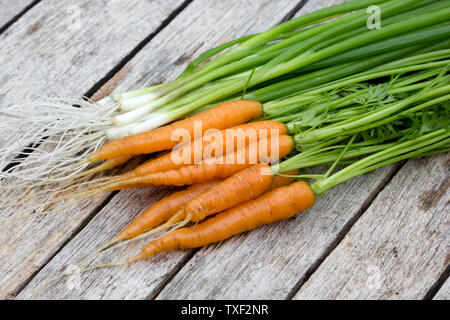 Karotten und Salat Zwiebeln auf einem Tisch Stockfoto