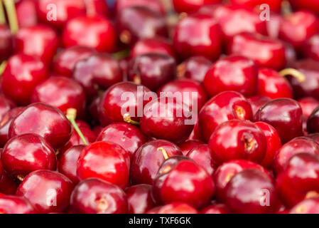 Nahaufnahme von Haufen von reifen Kirschen mit Stängeln und Blättern. Große Sammlung von frischen roten Kirschen. Reife Kirschen Hintergrund. Stockfoto