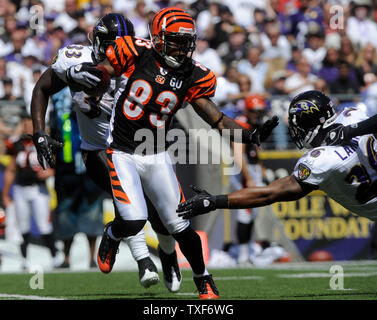 Cincinnati Bengals wide receiver Antonio Chatman läuft gegen die Baltimore Ravens im zweiten Quartal bei M&T Bank Stadium in Baltimore am 7. September 2008. (UPI Foto/Kevin Dietsch) Stockfoto