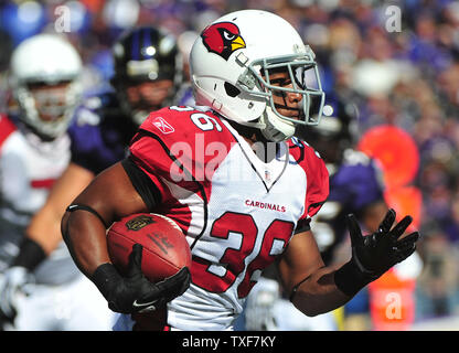Arizona Cardinals zurück laufen LaRod Stephens-Howling läuft gegen die Baltimore Ravens im ersten Quartal bei M&T Bank Stadium in Baltimore am 30. Oktober 2011. UPI/Kevin Dietsch Stockfoto