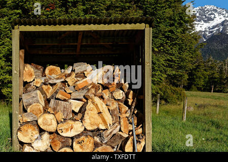 Eine gut gestapelt Brennholz Schuppen Stockfoto