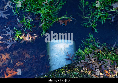 Ein weißes Rohr fließt Wasser aus einem Überquellenden Rohr Stockfoto