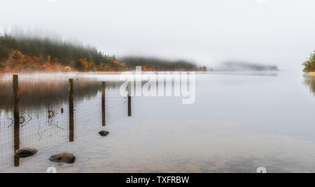 Am frühen Morgen Nebel über Loch Ard, Stirling Stockfoto