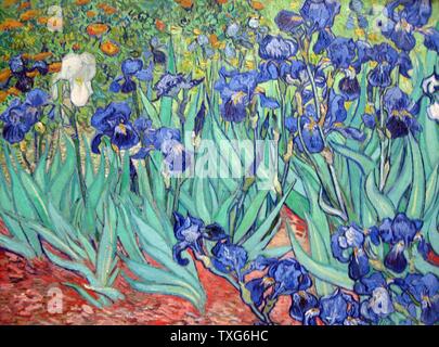 Vincent Van Gogh holländischen Schule Iris 1889 Öl auf Leinwand (74,3 x 94,3 cm) Los Angeles, J. Paul Getty Museum Stockfoto