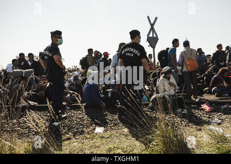 Flüchtlinge und Migranten warten auf Bussen in der Nähe von der Grenze mit Serbien in Roszke, Ungarn am 8. September 2015. Sie werden in eine Registrierung Camp, bevor sie ihre Reise in Richtung Deutschland übertragen werden. Foto von Achilleas Zavallis/UPI Stockfoto