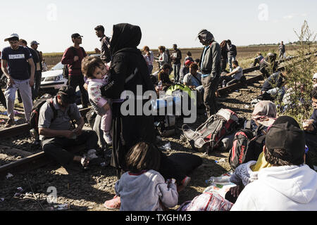 Flüchtlinge und Migranten warten auf Bussen in der Nähe von der Grenze mit Serbien in Roszke, Ungarn am 8. September 2015. Sie werden in eine Registrierung Camp, bevor sie ihre Reise in Richtung Deutschland übertragen werden. Foto von Achilleas Zavallis/UPI Stockfoto