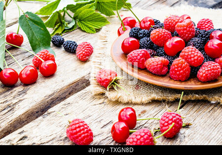 Saftige frische und köstliche Beeren, Kirschen, Himbeeren, Maulbeeren in einer Schüssel auf Holz- Hintergrund. Close-up Stockfoto