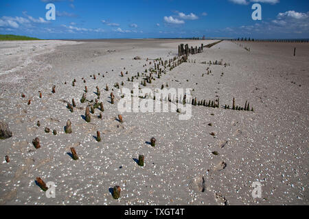 Geographie / Reisen, Deutschland, Niedersachsen, Groyne am Strand, Ostpier, Wangerooge Isle, East Frisi, Additional-Rights-Clearance-Info-not-available Stockfoto