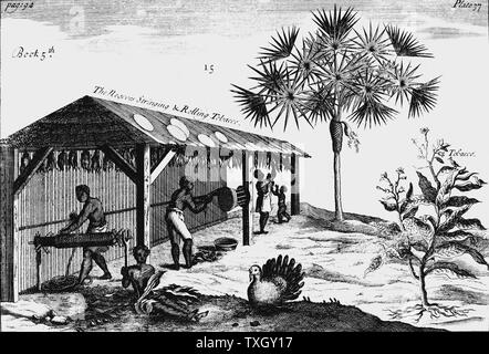 Szene auf einem amerikanischen Tabak Plantage. Von einem Pomet 'A compleat Geschichte der Drogen" London 1725. Erste ausgabe Französisch. Pomet Arzt zu Louis XIV. Mann, Frau und Kind slaves Rolling getrockneter Tabak in die Seile. Auf der rechten Seite ist Tabakpflanze (Nicotiana Firma) Gravur Stockfoto