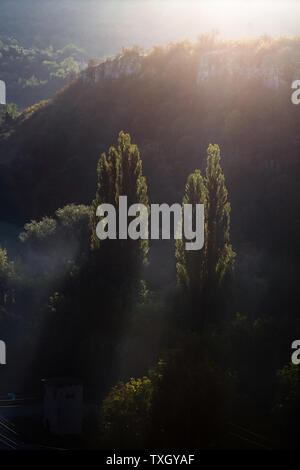 Zwei große Bäume wieder hell durch frühen Morgenlicht. Sonnenstrahlen durch den Nebel zwischen zwei Bäumen bei Sonnenaufgang. Stockfoto