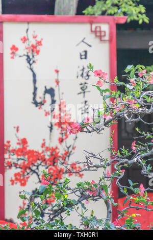 Antike Architektur von Du Fu Caotang in Chengdu, China Stockfoto