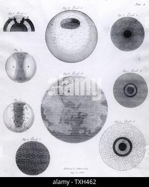 Ideen der verschiedenen Phasen in der Entstehung der Erde. Gravur aus 'Heiligen Theorie der Erde' von Thomas Burnett (London, 1817). Thomas Burnett (1635-1715), englischer Theologe und Schriftsteller auf Kosmogonie, im Croft in der Nähe von Darlington, County Durham, England geboren. Seine Ideen zur Entstehung und Aufbau der Erde waren spekulative und unwissenschaftlich. Stockfoto