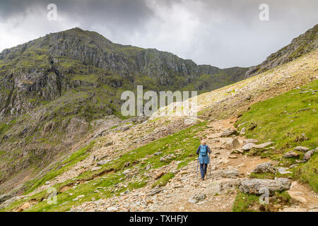 Ein Wanderer auf der Pyg Anschluss Richtung Snowdon (3.560 ft), Snowdonia National Park, Gwynedd, Wales, Großbritannien Stockfoto