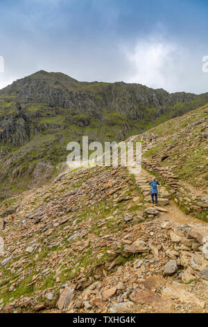 Ein Wanderer auf der Pyg Anschluss Richtung Snowdon (3.560 ft), Snowdonia National Park, Gwynedd, Wales, Großbritannien Stockfoto