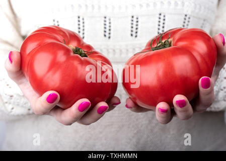 Zwei reife Tomaten in die Hände des Mädchens. Rosa Maniküre auf die Nägel der Mädchen. Nahaufnahme Stockfoto