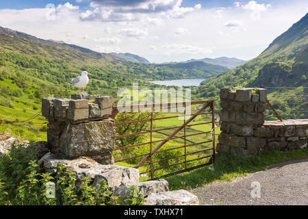 Blick nach Süden hinunter die Nant Gwynant Pass nach Llyn Gwynant, Snowdonia National Park, Gwynedd, Wales, Großbritannien Stockfoto