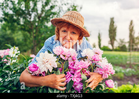 Ältere Frau sammeln und duftende Blumen im Garten. Ältere Menschen im Ruhestand Frau umarmen Päonien. Gartenarbeit Konzept Stockfoto