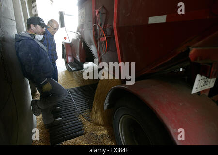 Gary Weber (L) steht mit Chester Cleveland, als er Mais seines Sohnes am Kornelevator in Illinois Manteno, entlädt am 20. Oktober 2008. Mais für Dezember Lieferung rose $ 0.155 pro Bushel an der Chicago Board of Trade schließen bei $ 4.185 Montag als Zurückprallen öl Märkte Investor Focus auf Rohstoffe verschieben. (UPI Foto/Brian Kersey) Stockfoto