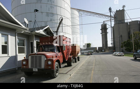 Gary Weber wiegt seinen Lkw nach dem Entladen Mais am Kornelevator in Illinois Manteno, am 20. Oktober 2008. Mais für Dezember Lieferung rose $ 0.155 pro Bushel an der Chicago Board of Trade schließen bei $ 4.185 Montag als Zurückprallen öl Märkte Investor Focus auf Rohstoffe verschieben. (UPI Foto/Brian Kersey) Stockfoto