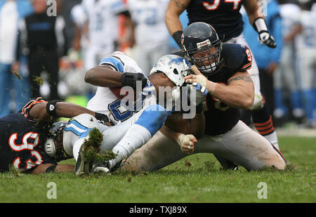 Chicago Bears defensive Ende Adewale Ogunleye (L) und defensiver staubigen Dvoracek (R) Detroit Lions Empfänger Calvin Johnson für eine 6-Yard-Verlust auf einem rückwärts im vierten Quartal Gerät an Soldier Field am 2. November 2008 in Chicago. Die Bären gewannen 27-23. (UPI Foto/Brian Kersey) Stockfoto