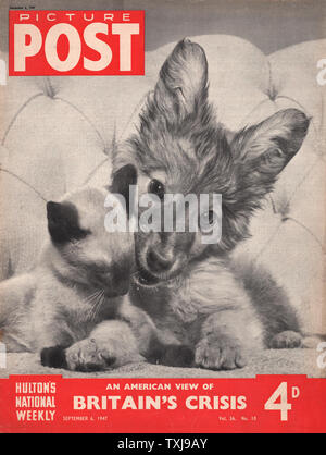 1947 Bild Post Magazine vordere Seite mit einen Hund und Katze Stockfoto