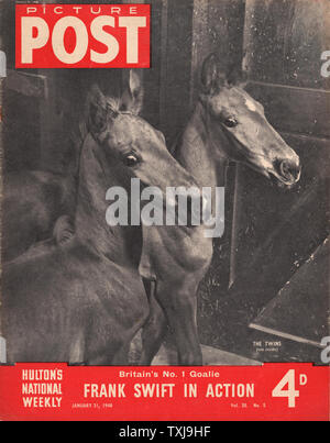 1948 Bild Post Magazine Startseite pferde Fohlen Stockfoto