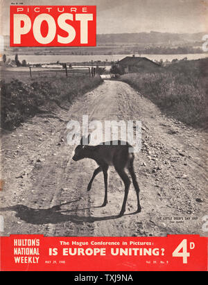 1948 Bild Post Magazine vordere Seite mit ein Reh auf der Landstraße Stockfoto