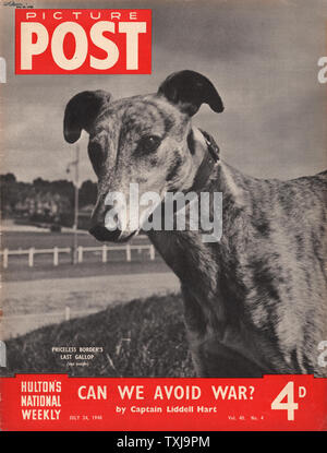 1948 Bild Post Magazine vordere Seite mit Greyhound unbezahlbar Grenze Stockfoto