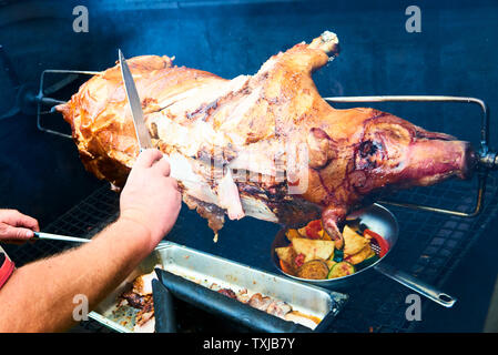 Chef Hände Schneiden ganze gegrillte Schweinefleisch für Steaks mit Messer. Vom Schwein gegrillte traditionelle Kohle und Feuer. Das kleine Schwein wird ganz auf einem offenen Feuer geröstet. P Stockfoto