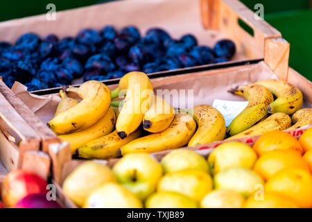 Nahaufnahme der frische reife gelbe Bananen und Äpfel mit violetten Pflaumen in Street Market Anzeige in der Toskana, Italien im Sommer Stockfoto