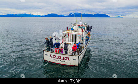 Deep sea hallibut Angeln, das Sizzler, Rainbow Tours, Homer, Alaska, USA Stockfoto