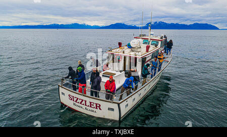 Deep sea hallibut Angeln, das Sizzler, Rainbow Tours, Homer, Alaska, USA Stockfoto