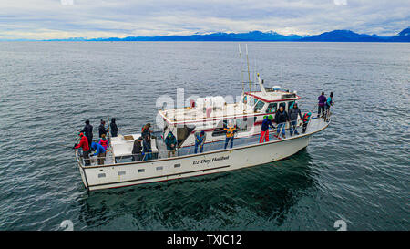 Deep sea hallibut Angeln, das Sizzler, Rainbow Tours, Homer, Alaska, USA Stockfoto