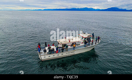 Deep sea hallibut Angeln, das Sizzler, Rainbow Tours, Homer, Alaska, USA Stockfoto