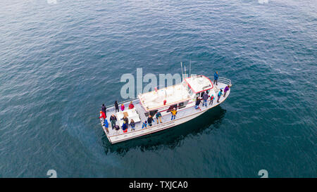 Deep sea hallibut Angeln, das Sizzler, Rainbow Tours, Homer, Alaska, USA Stockfoto