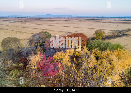 Sino-Russian border See Xingkai See Herbst Farbe Stockfoto