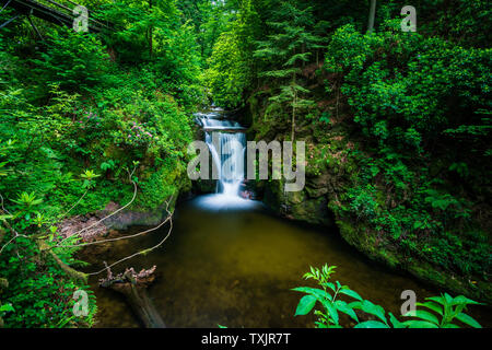 Schöne Geroldsau Wasserfall in Schwarzwald, Deutschland Stockfoto