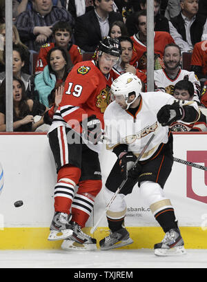 Chicago Blackhawks center Jonathan Toews (L) und Anaheim Ducks rechten Flügel Kyle Palmieri gehen für den Puck während des zweiten Zeitraums in der vereinigten Mitte in Chicago am 29. März 2013. UPI/Brian Kersey Stockfoto