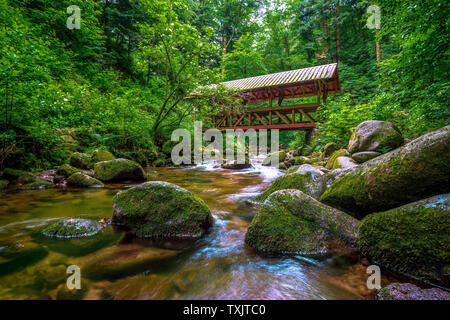 Schöne Geroldsau Wasserfall in Schwarzwald, Deutschland Stockfoto