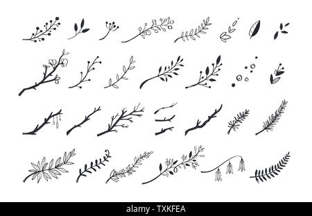 Vector vintage florale Elemente gezeichnet. Satz von Wald doodle Blumen und brunches für Hochzeit, Geburtstag Stock Vektor