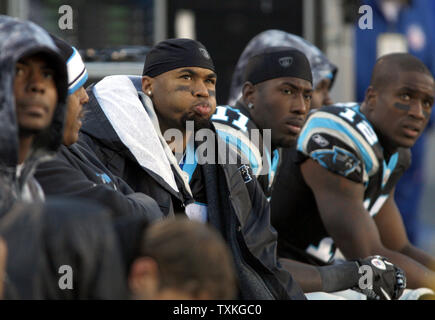 Carolina Panthers wide receiver Steve Smith Uhren sein Team fallen auf den New Orleans Saints 34-3 an der Bank von Amerika Stadium in Charlotte, North Carolina am 7. November 2010. UPI/Nell Redmond. Stockfoto